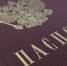 Уголовное наказание за надругательство над паспортом предложили ввести в России - Телеканал Катунь 24