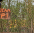 Пугающий арт-объект появился в Бийске - Телеканал Катунь 24