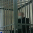 Шелаболихинский районный суд вынес приговор по уголовному делу об истязании троих детей - ГТРК Алтай