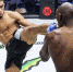 Фото: Bellator MMA - Газета Алтайский спорт