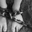На Урале женщина сбежала от насильника после 14 лет плена - Сетевое издание Толк