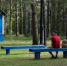 Фото: pixabay.com - Алтайская правда