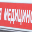 В Бийске медики спасли мужчину после укуса пчелы - Сетевое издание Толк