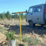 Годовой план по посадкам леса в Алтайском крае выполнен на две трети - Barnaul-Altai.Ru