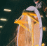 Барнаульский завод увеличил оклады рабочим на 25–40% - Сетевое издание Толк
