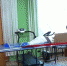 Алейские организации, помогающие детям в сложной жизненной ситуации, получили новый спортинвентарь и мультимедийное оборудование - Телеканал Катунь 24