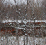 Долгострой на улице Научный городок, 23 - Сетевое издание Толк