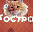 С премьерой сериала! - АГИК