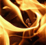 Фото: pixabay.com - Алтайская правда