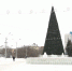 Сегодня в Барнауле открываются городские ёлки - ГТРК Алтай