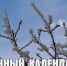 Лунный календарь – хороший день для отдыха на природе - ГТРК Алтай