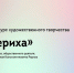 ИГН АлтГУ объявляет о старте международного творческого конкурса, посвященного 150-летию Николая Рериха - ИГН АлтГУ