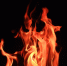 Фото: pixabay.com - Алтайская правда