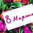 280513-528x352 - Портал библиотек Алтайского края