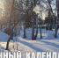 Лунный календарь на 27 февраля: сегодня можно отдохнуть, но придётся сохранять благоразумие - ГТРК Алтай