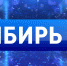 Сегодня на телеканале «Сибирь 24» смотрите матч Ночной хоккейной лиги России - ГТРК Алтай