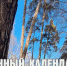 Лунный календарь на 17 марта: остерегаемся травм и бережём нервы - ГТРК Алтай