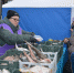 В Ленинском районе на пл.Народной состоялась очередная продовольственная ярмарка - Администрация г. Барнаул