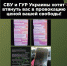 Война с фейками - Газета Первомайский вестник
