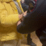 В Алтайском крае медицинский работник и похоронный агент подозреваются во взяточничестве - Следственный комитет