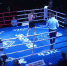 Боксёрский турнир Siberian Fight Championship прошёл в Барнауле - Телеканал Катунь 24