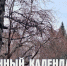 Лунный календарь на 14 апреля: совершайте добрые дела, но не давайте денег взаймы - ГТРК Алтай