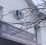 Жительница Поспелихинского района признана виновной в нанесении травм новорождённому ребёнку - ГТРК Алтай