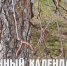 Лунный календарь на 21 апреля: очень неоднозначный день – можно ждать от него и плохого, и хорошего - ГТРК Алтай