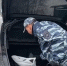 В Барнауле сотрудники Госавтоинспекции пресекли попытку сбыта наркотических средств в крупном размере - Телеканал Катунь 24