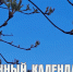 Лунный календарь на 25 апреля: день внутренней свободы, но возможны и травмы - ГТРК Алтай