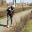 Более 40 тысяч барнаульцев приняли участие в общегородском субботнике - Администрация г. Барнаул