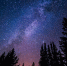 Фото: unsplash.com - Алтайская правда