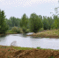 Уровни воды в Катуни и Оби в Алтайском крае со дня на день преодолеют опасные отметки - Сетевое издание Толк
