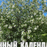 Лунный календарь на 19 мая: один из самых позитивных и энергетически мощных дней лунного месяца - ГТРК Алтай