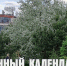 Лунный календарь на 24 мая: сегодняшний день лучше провести в покое и умиротворении - ГТРК Алтай