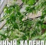 Лунный календарь на 29 мая: сегодня Луна на стороне справедливых и честных - ГТРК Алтай