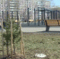 Сегодня в Заринске откроют первый в городе парк – «Прометей» - ГТРК Алтай