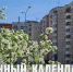 Лунный календарь на 2 июня: день любви к самому себе и поиска внутренней гармонии - ГТРК Алтай