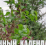 Лунный календарь на 3 июня: критический день, не время тратить энергию попусту - ГТРК Алтай