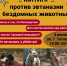 Все на митинг! Алтайские социалисты против эвтаназии бездомных животных - Справедливая Россия
