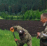 На Алтае появится два питомника для выращивания деревьев - Сетевое издание Толк