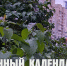 Лунный календарь на 10 июня: защищайте слабых и не слушайте чужих советов - ГТРК Алтай