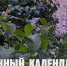Лунный календарь на 18 июня: загадывайте желания и берегите сердце - ГТРК Алтай
