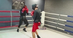 Второй турнир по профессиональному боксу Siberian Fight Championship пройдет в селе Чемал