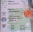 Учащаяся школы №126 стала призером итогового этапа Чемпионата по профессиональному мастерству «Профессионалы» - Администрация г. Барнаул