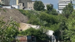 Фото: Barnaul 22