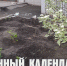 Лунный календарь на 2 июля: удача улыбнётся тому, кто умеет молчать - ГТРК Алтай