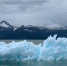 Фото: unsplash.com - Алтайская правда