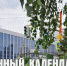 Лунный календарь на 6 июля: самый удачный день для регистрации брака - ГТРК Алтай