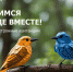 «Алтайэнергосбыт»: электронная квитанция сэкономит время и сохранит деревья Фото №1 - Алтайская правда